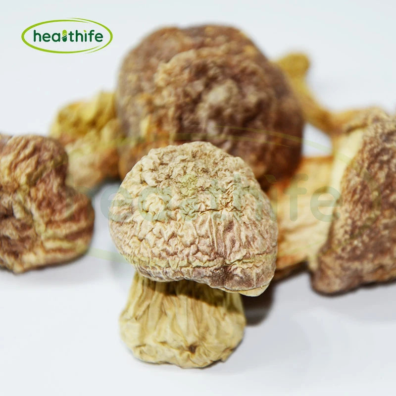 Healthife Natural Supplement Ingredient Organic Agaricus Blazei Powder