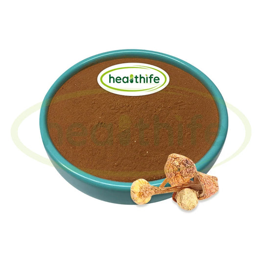 Healthife Natural Supplement Ingredient Organic Agaricus Blazei Powder